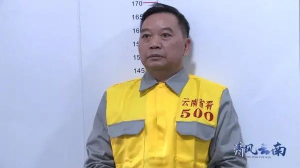女州长,被双开