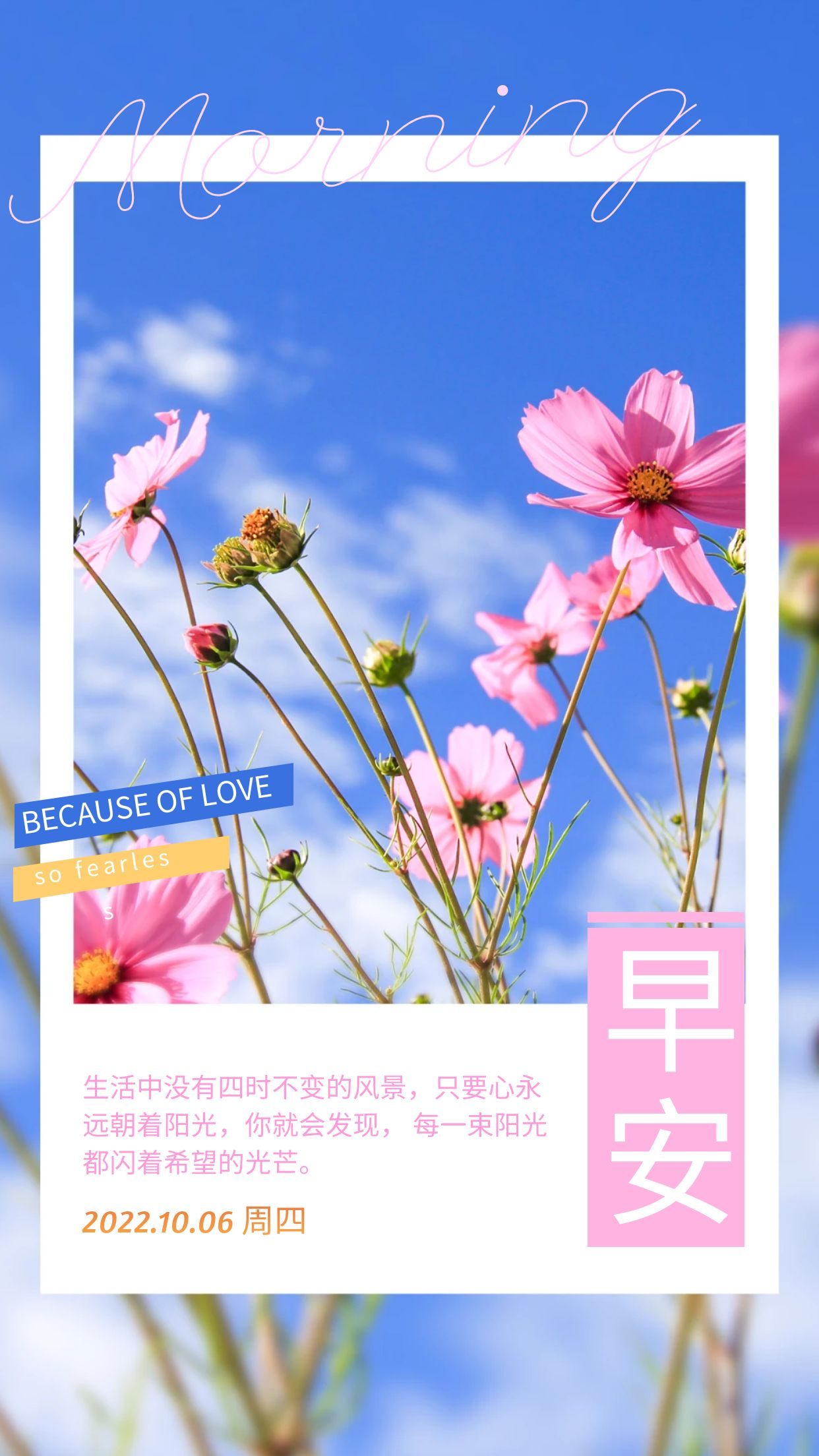 正能量励志早安文案图片:晨不惜时日无所为,少不勤勉老无所归