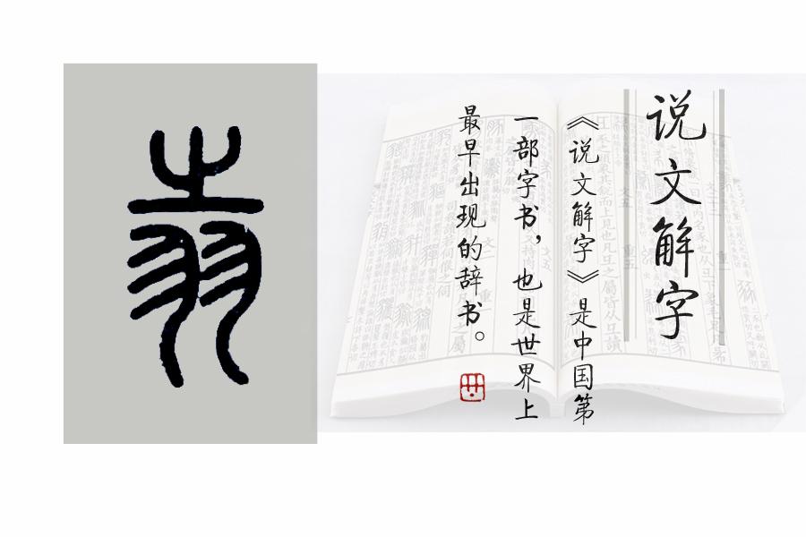 《说文解字》第696课:"翱翔"的"翱"是什么意思?