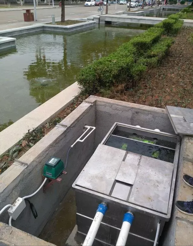 顺峰山公园3600吨景观水池过滤系统安装后,水质保持清澈