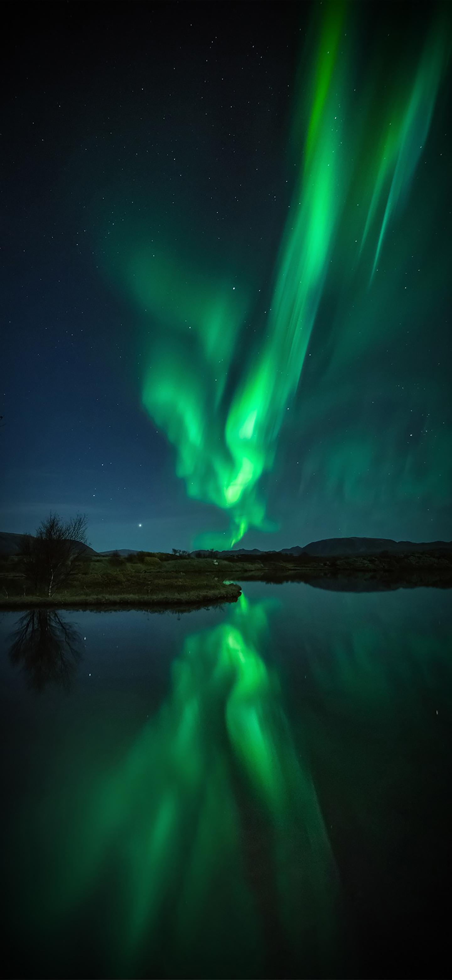 1440_3120竖版 竖屏