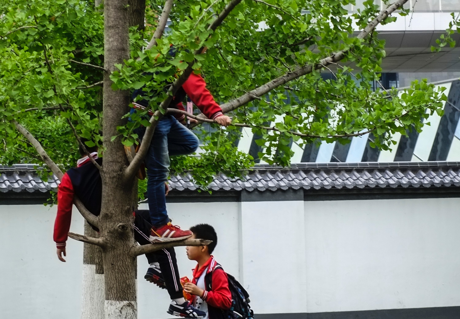 家里孩子爱做这2件事,父母别急,将来很可能是"学霸"
