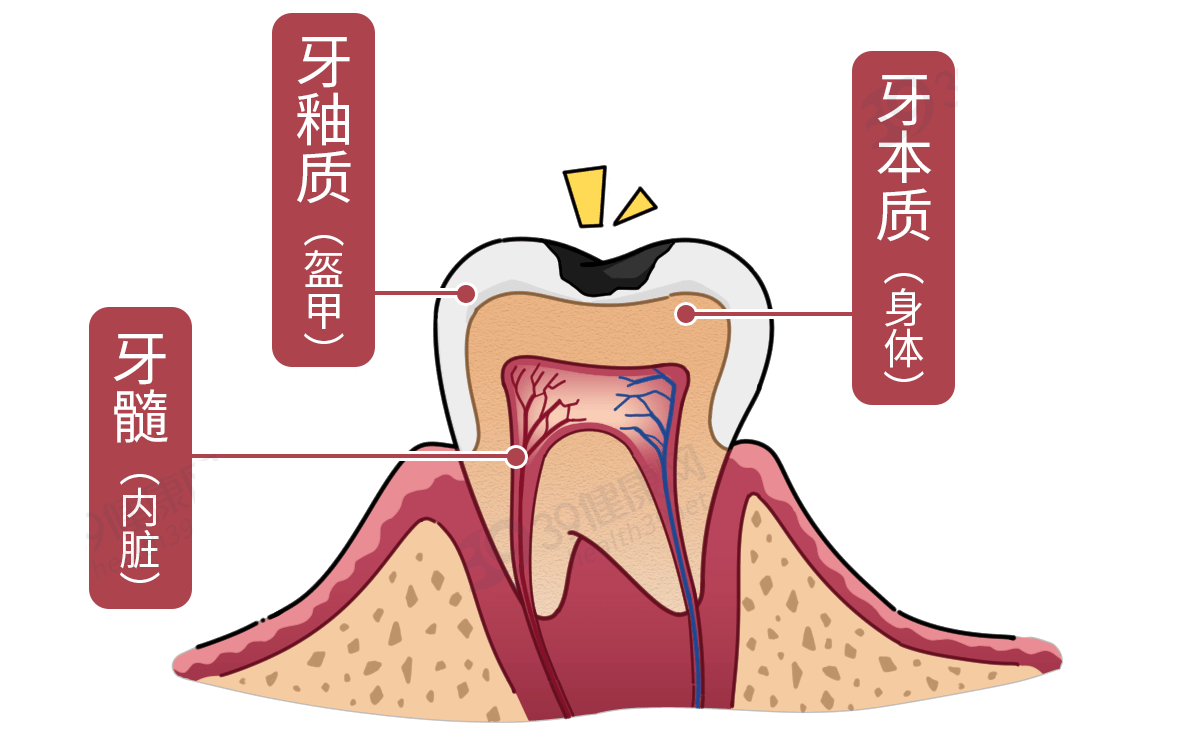 患上牙周炎,牙齿松动,肿痛怎么办?一个小方法可应对!