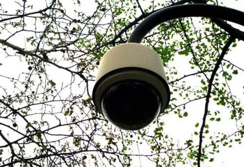 拍压线的摄像头是哪种