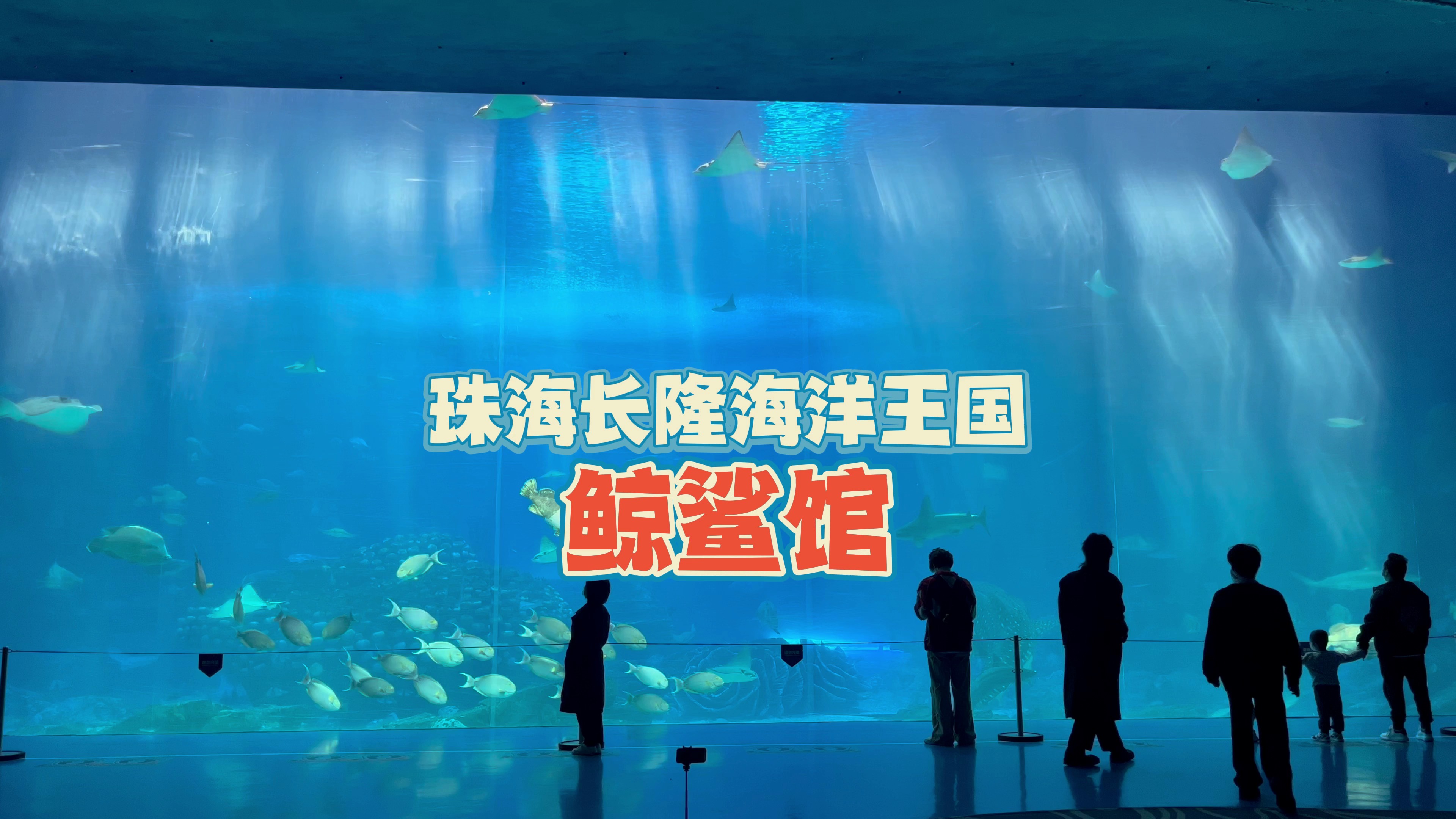珠海长隆海洋王国高清鲸鲨馆
