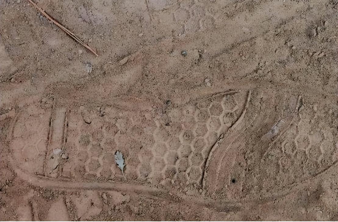 纪实:"色魔"吴建臣:喜欢趴窗户看女生洗澡,成年残忍侵害28人