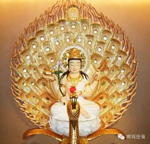 佛母大孔雀明王根本心印详解