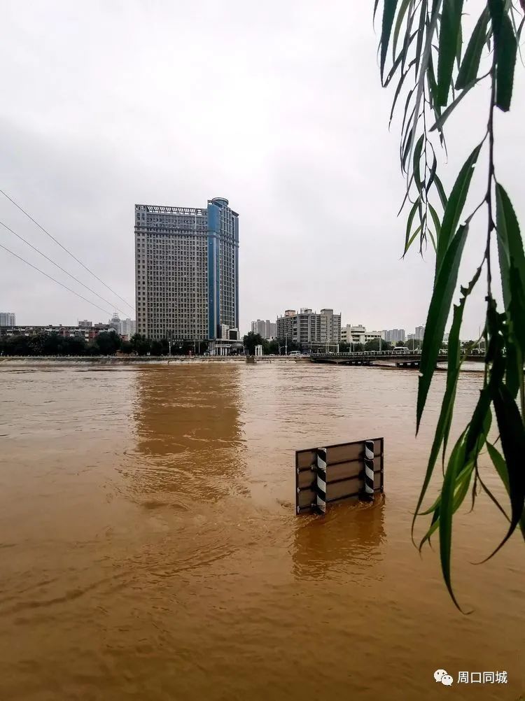 洪水过周口:镇河小铁牛消失?还有这个传说
