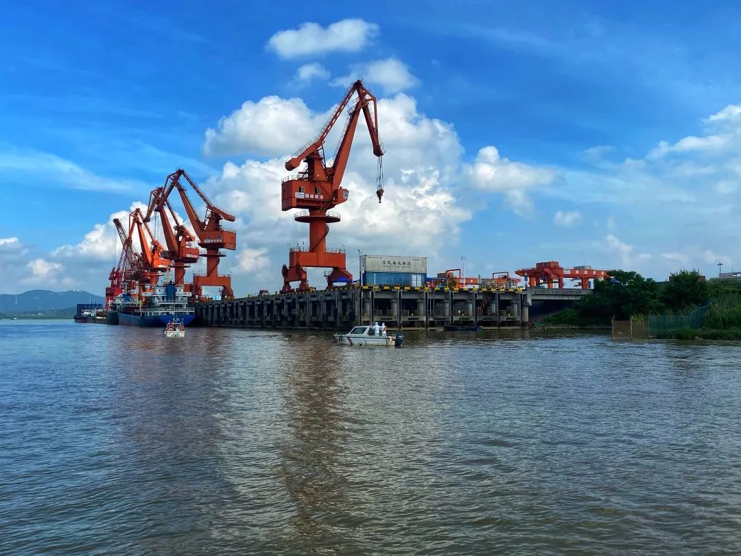 防疫一线 | 港澳线船员疫苗接种  粤港澳大湾区水运经济可持续发展