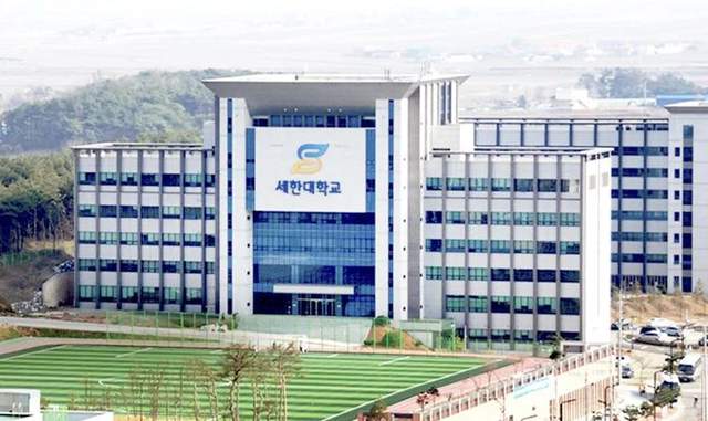 韩国世翰大学logo图片