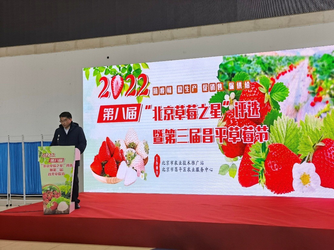 2022长丰草莓节图片