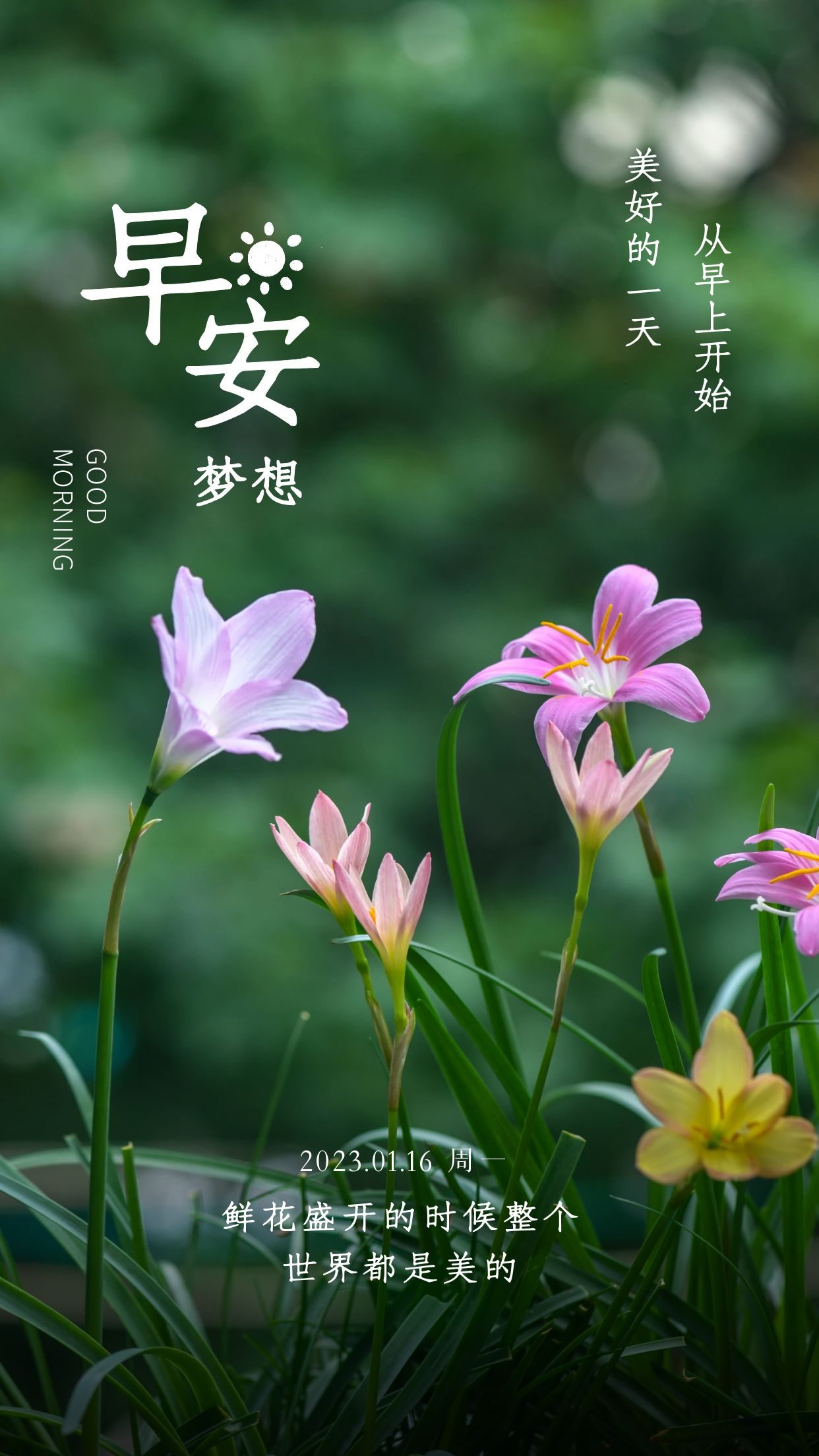 适合早晨发圈正能量图片语录:想都是问题,做都是答案!