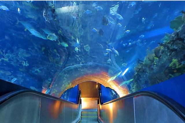 烟台新增"王牌"景区,耗资12亿落户蓬莱,是孩子们的天堂!