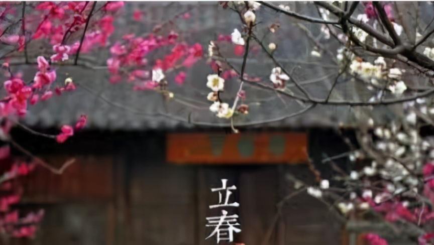 《张保皋郑年传》阅读答案及翻译