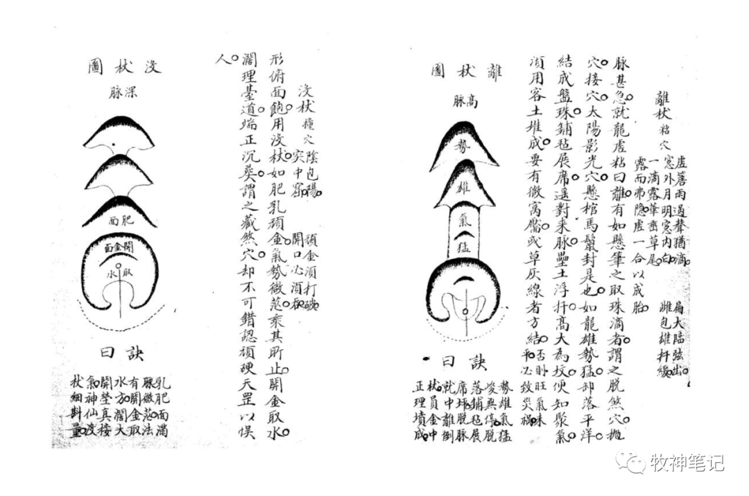 李双林之十二杖法图片