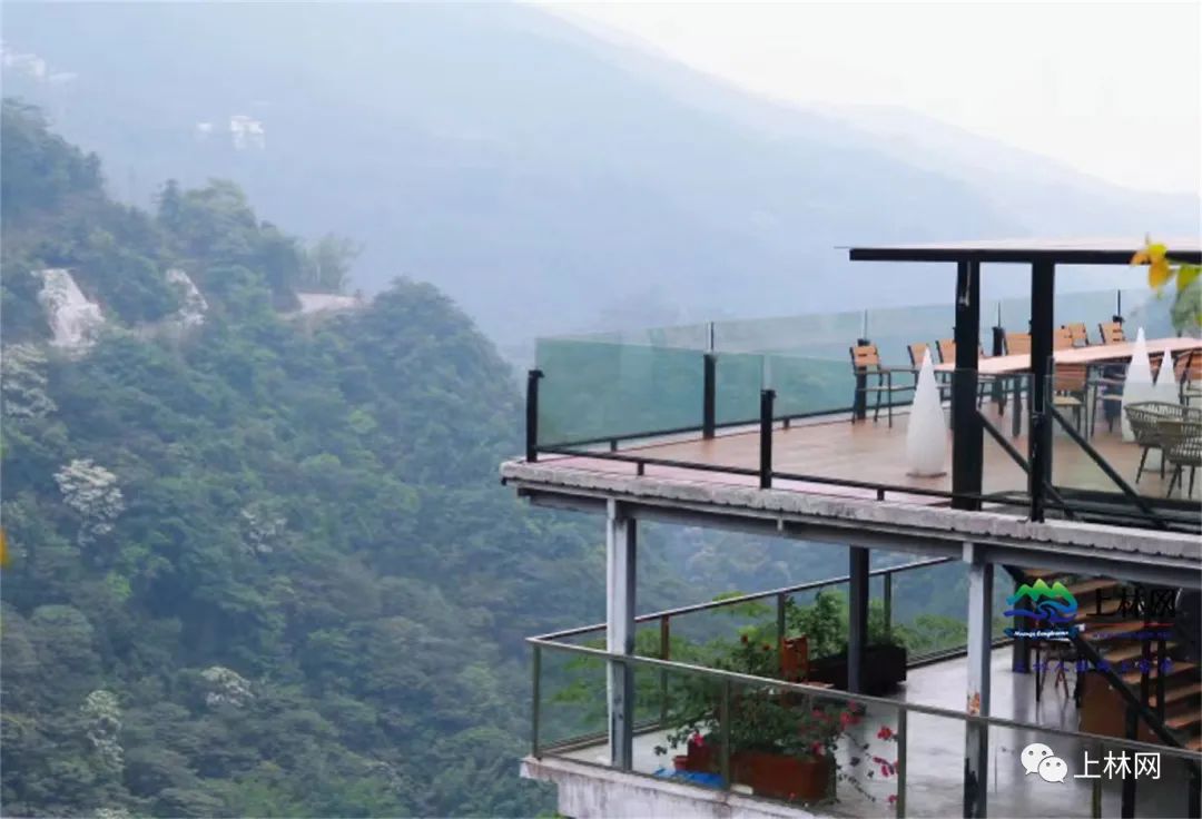傍山而居藏在上林深山里的乡村每年夏季民宿更是一房难求