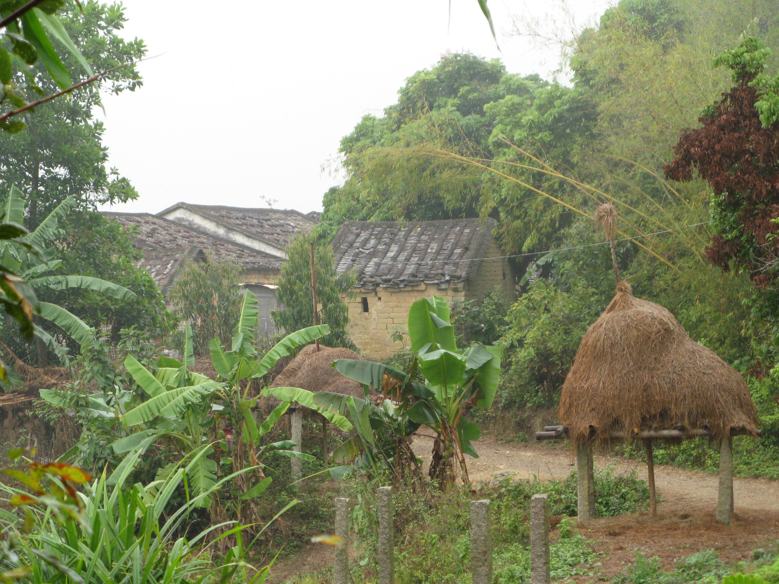 女服务员捡到男人的手提包,拒收谢礼后,男人帮助她实现了梦想