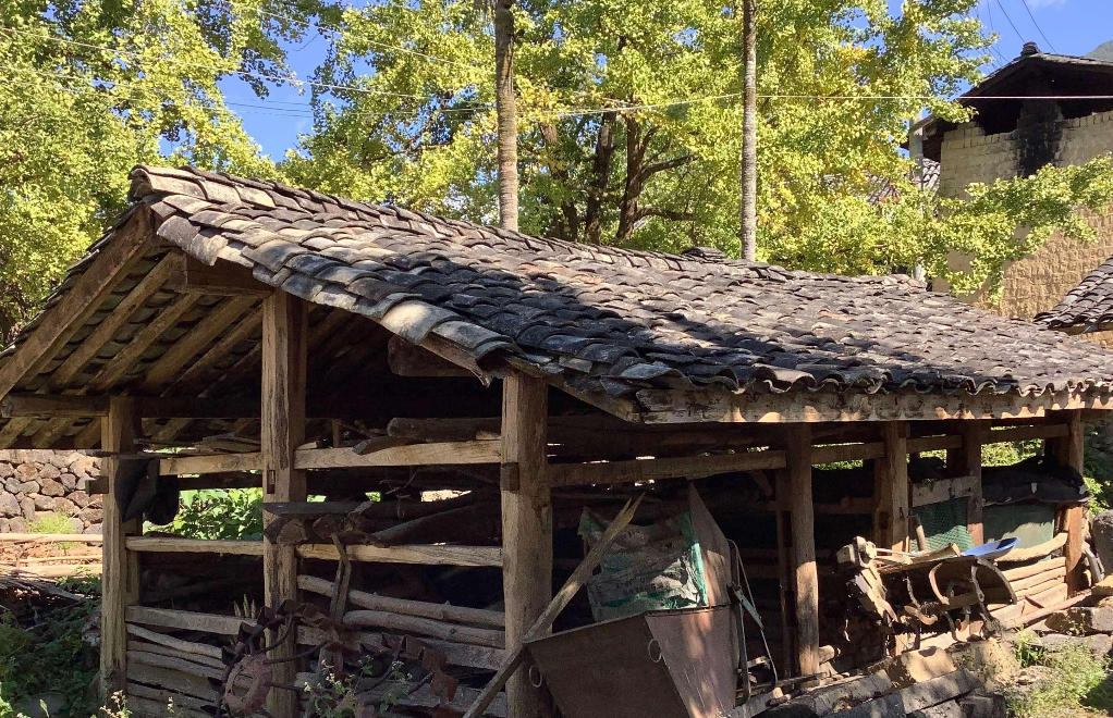 19年前,河南一农民发明"智能木马"杀17人,因一句话放走第18人