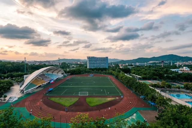 华南农业大学 泰山区图片