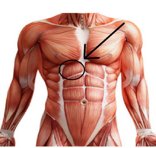 不规避这三个练腹误区,腹肌很难练,因此我们要学会规避这些