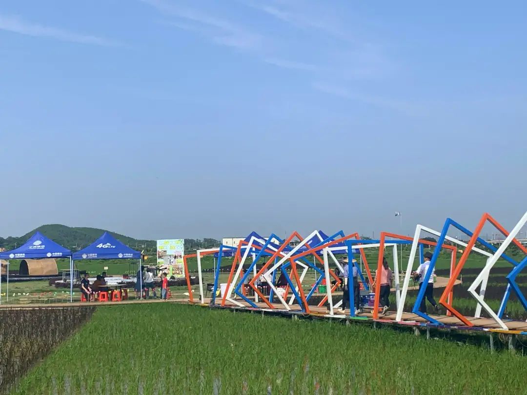 去有风的地方～(有风的地方有雾吗是什么歌)