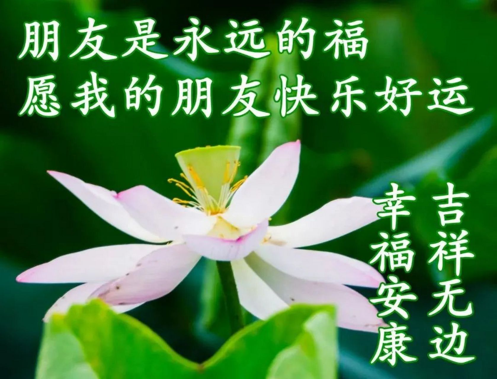 问候大家早上好动图表情,清晨祝福早上好问候语温馨语录 清晨,新的