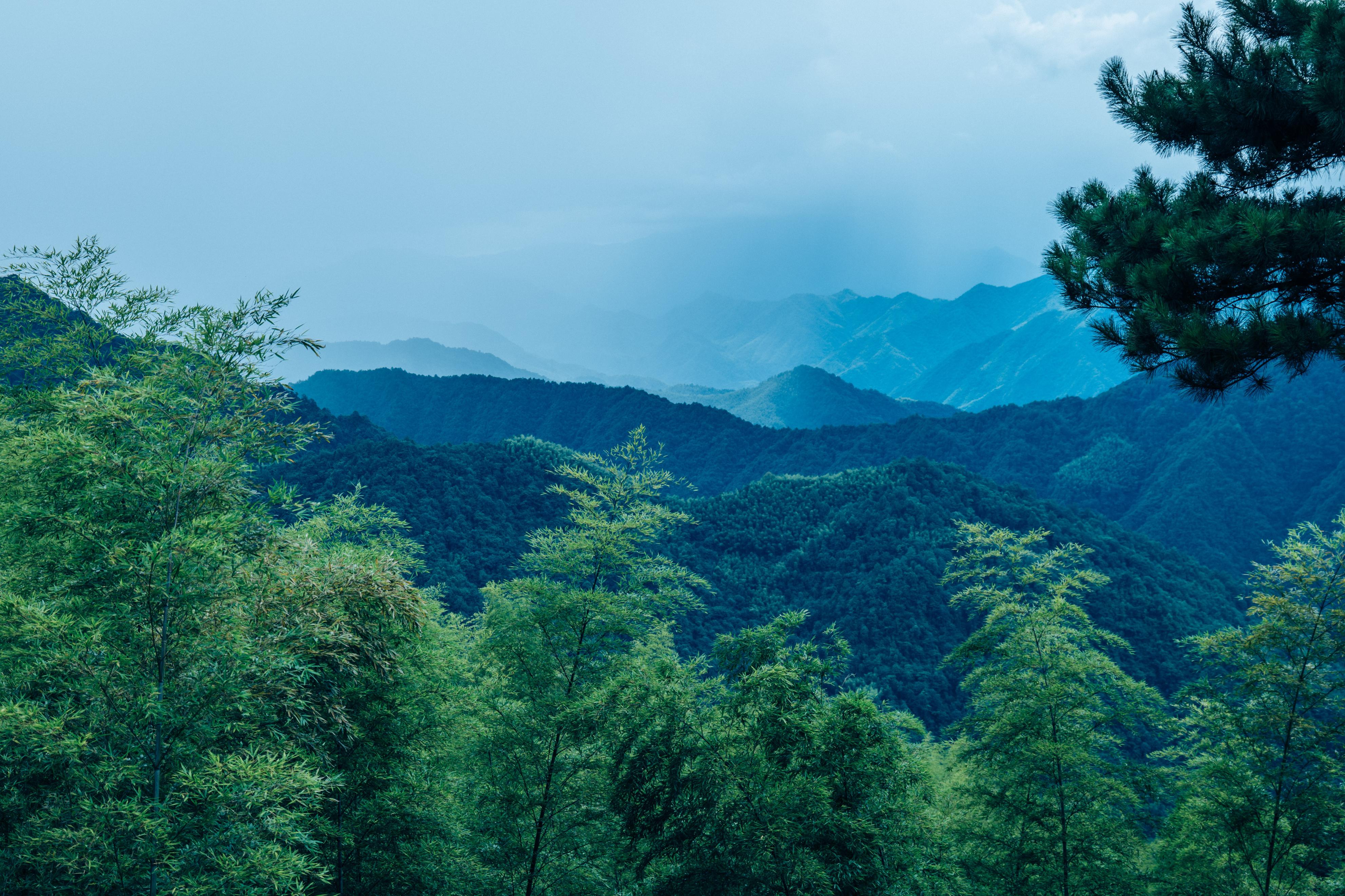 行游五府山:解密3宝,山野美味游走舌尖,传递平实的幸福