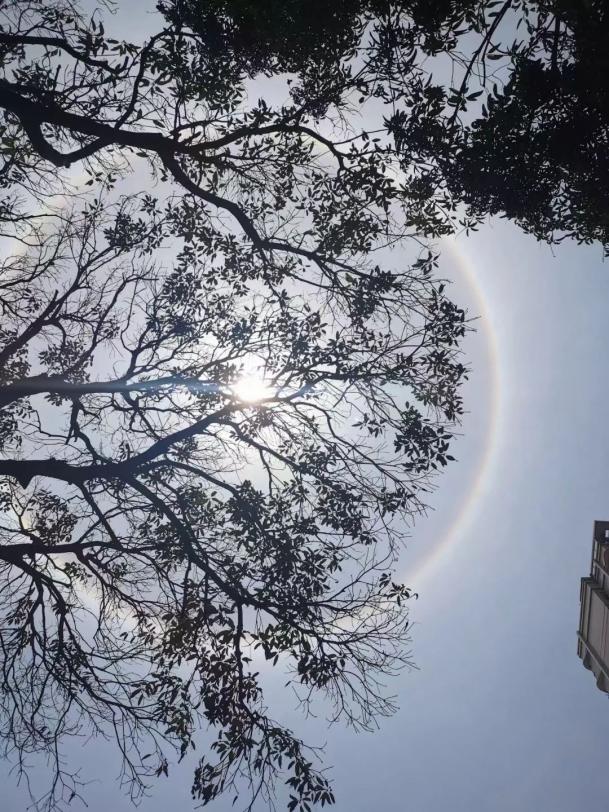 抬头看天!"晕"了!