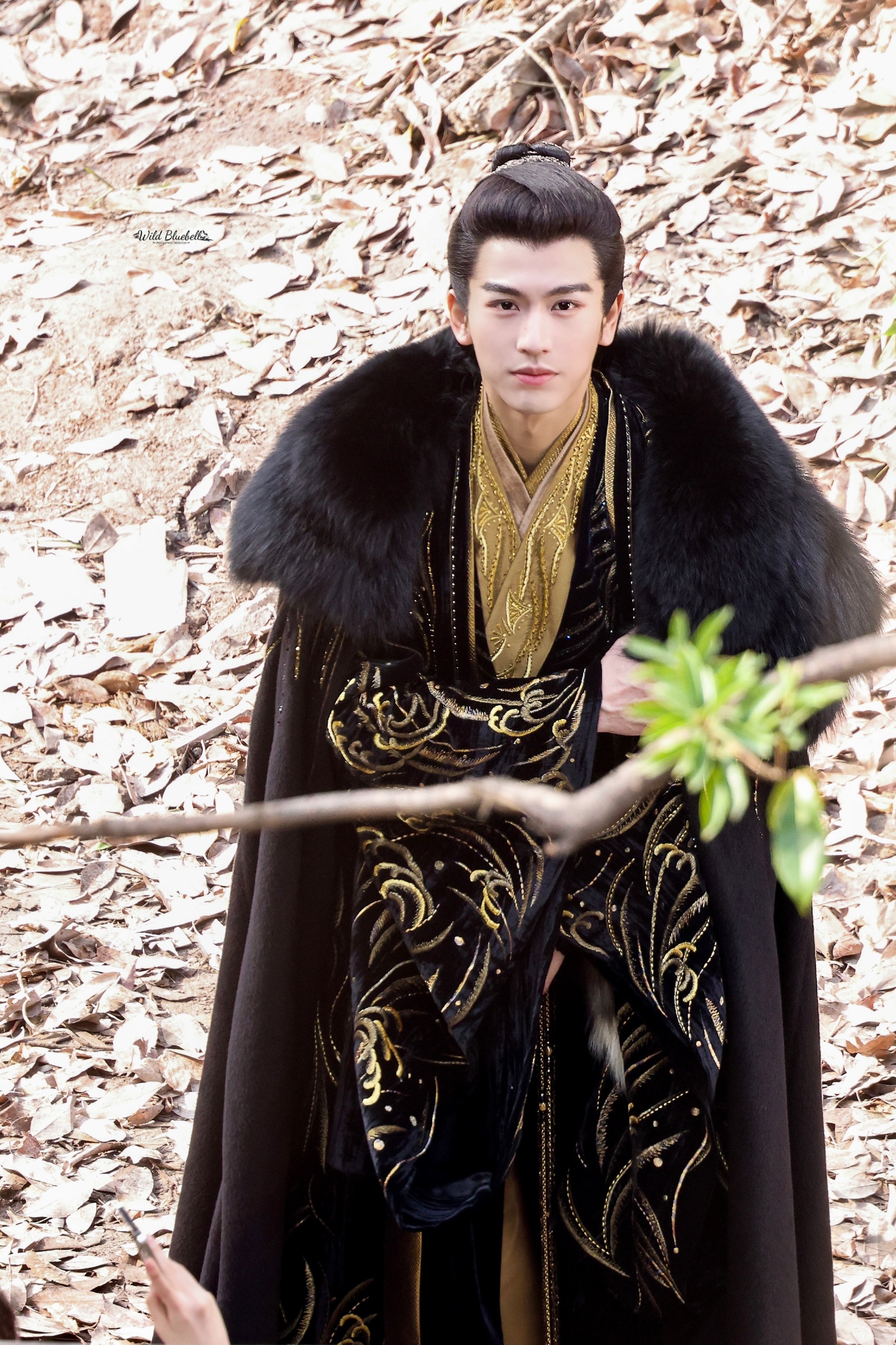 《云之羽》,郭敬明审美在线,虞书欣张凌赫瘦成一道闪电