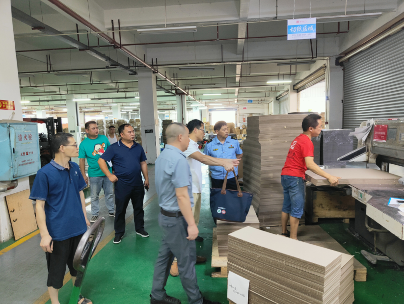 邵东市黑田铺镇邀请安全专家开展安全生产大检查