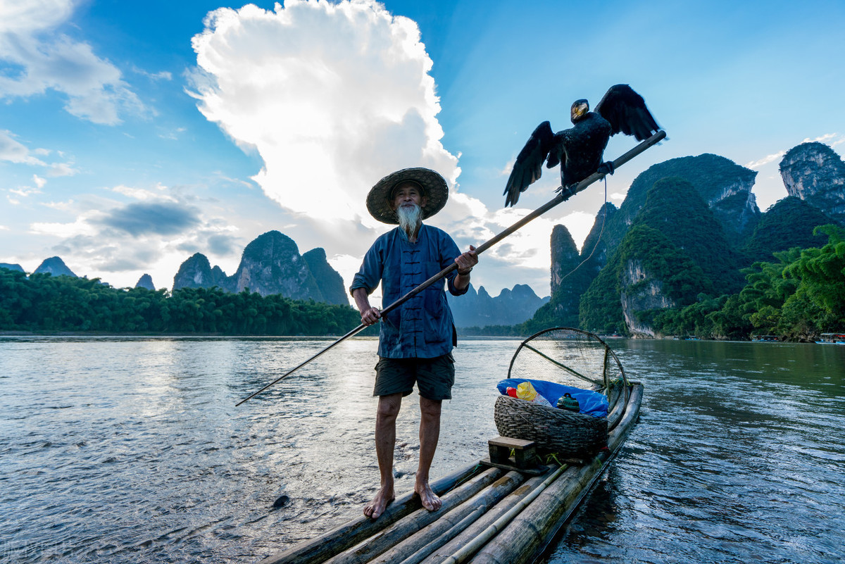 判刑?是的,湖北刘某因用鸬鹚捕鱼被判了,鸬鹚捕鱼技术会失传吗