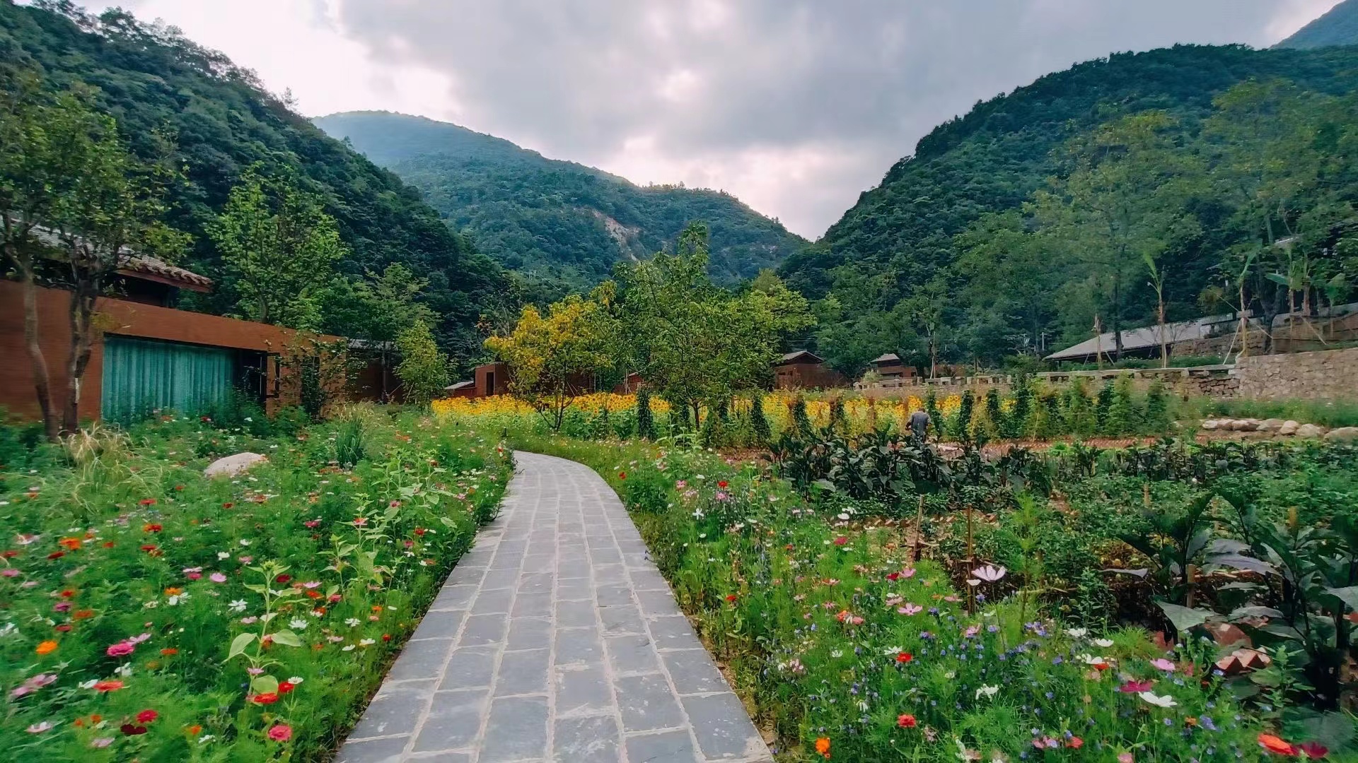 夏日大热门 平武乡村旅游升温 民宿迎客满