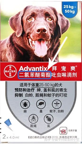 猫中毒-除虫菊酯中毒