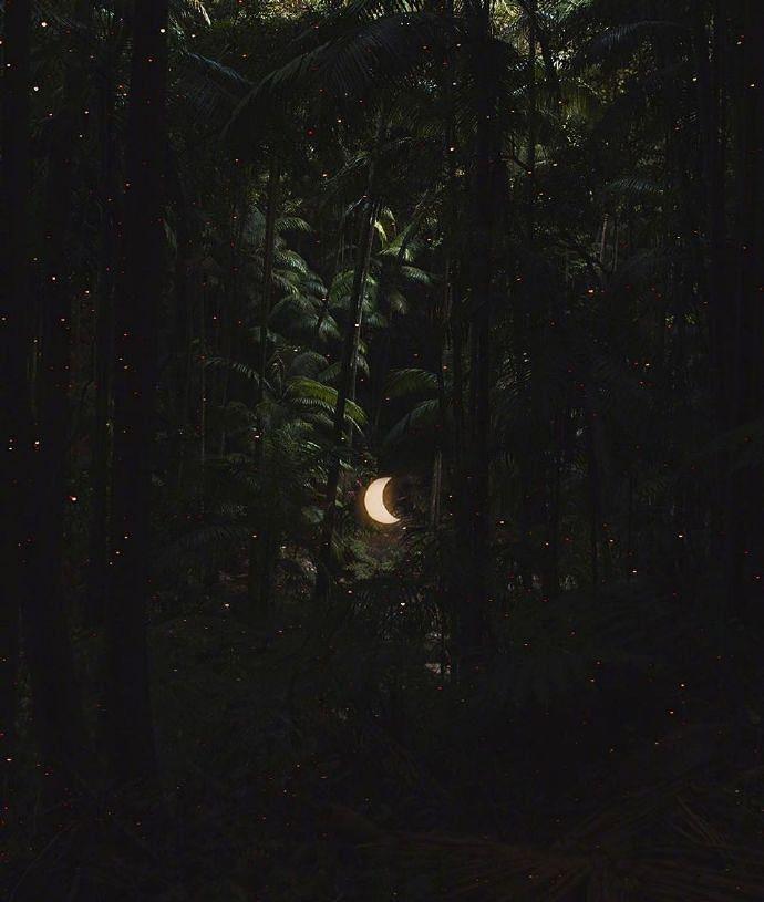 让人特别心疼的丧系句子,送给孤独的人