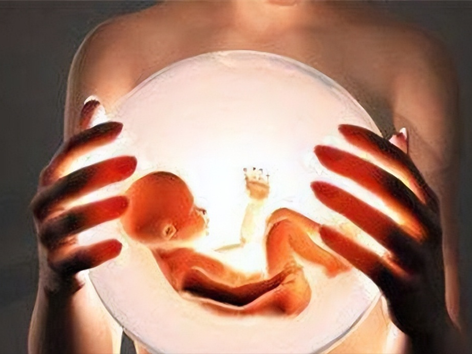 16周的胎儿图片图片