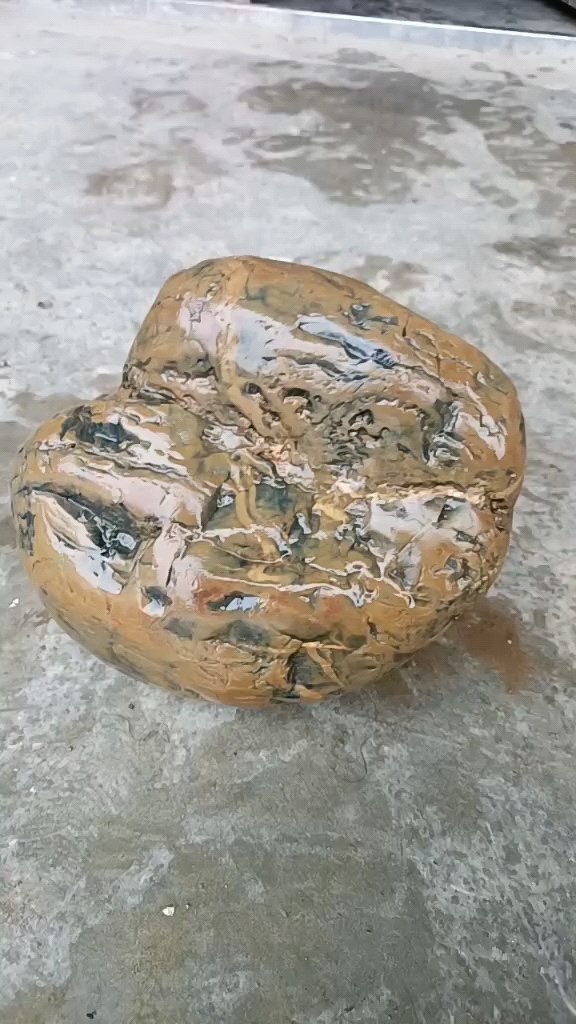 这是我前段时间在嘉陵江捡的奇石,纹路清晰,造型奇特,堪称精品