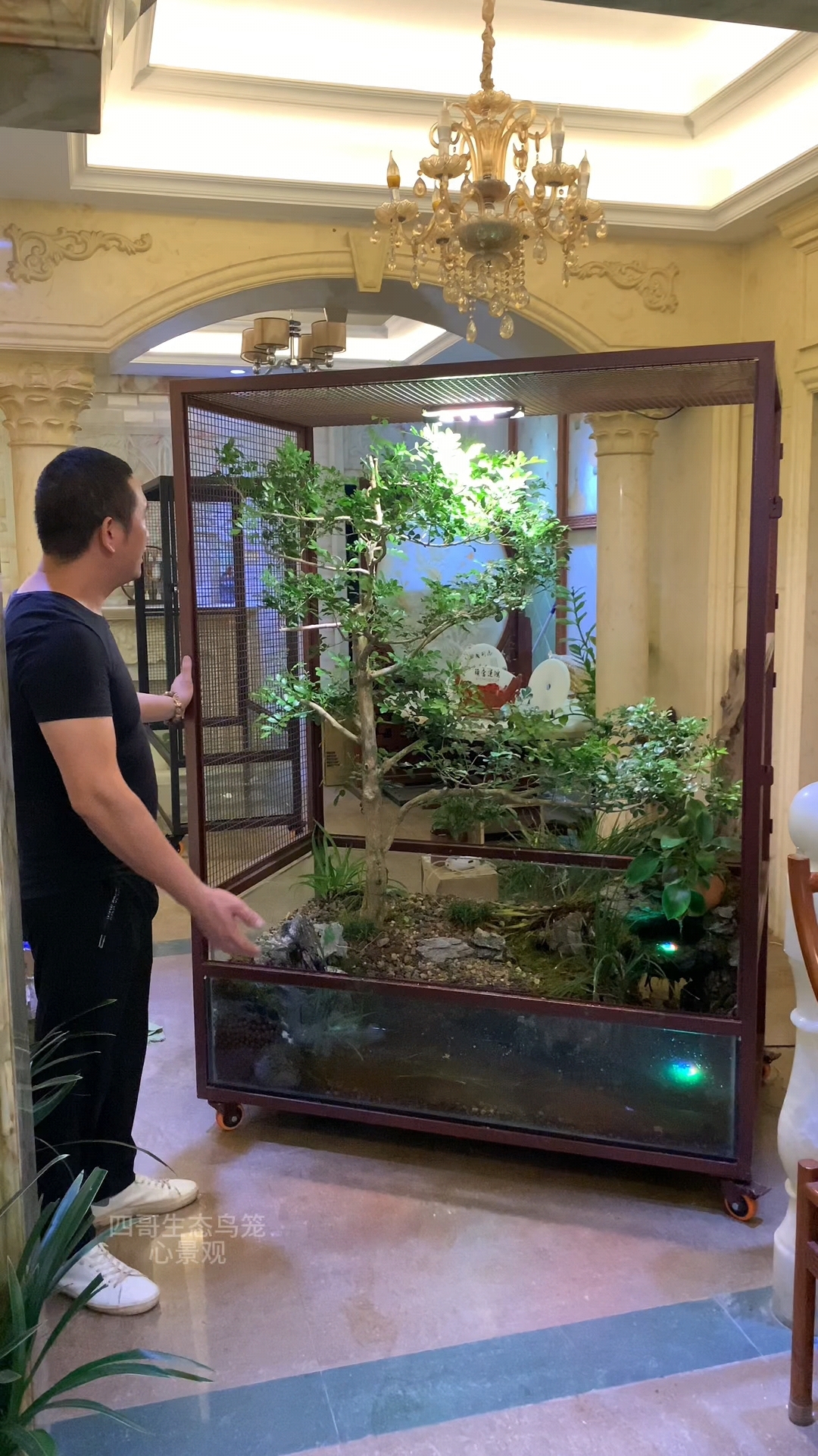 加大号的生态鸟笼刚刚完工这样的设计也太好看了吧