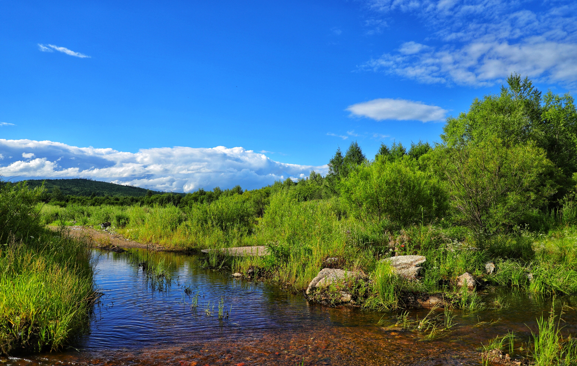 大兴安岭:中国保存较完好,面积最大的原始森林