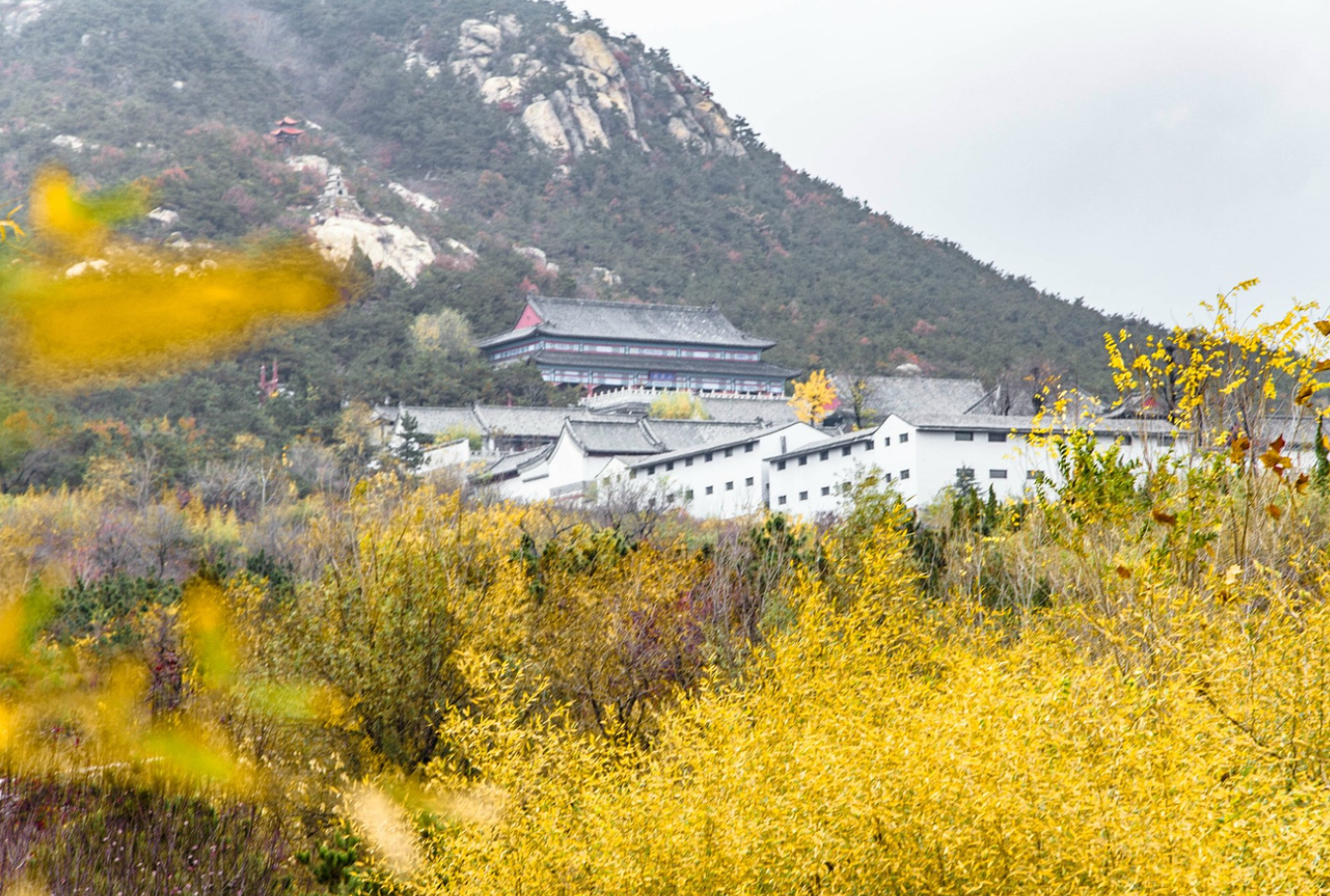 我国唯一的"全球福居宝地",这座半岛小城终于火了,很适合养老