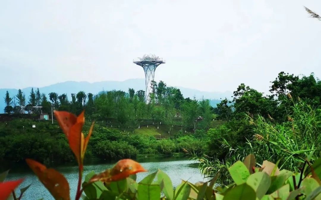 蓮花湖生態(tài)濕地公園