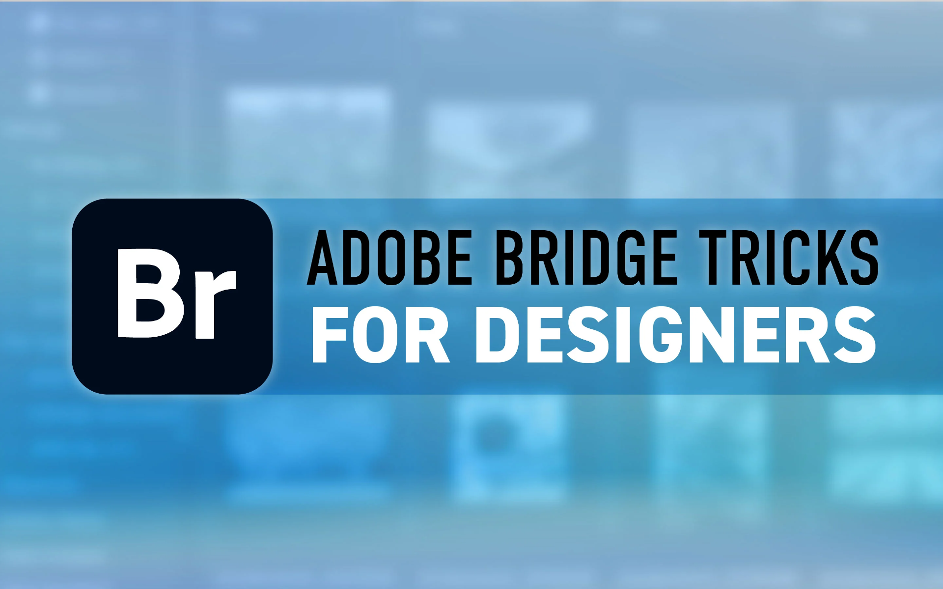 adobe bridge中文版下载br软件下载bridge下载
