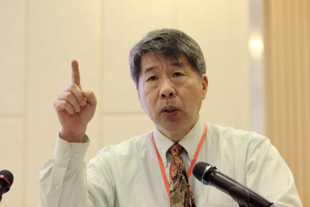 "一个中国"响彻岛内!张亚中民调突然高涨,国民党大佬一针见血