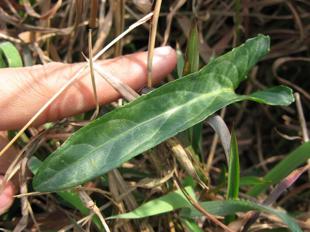 农用- 热门商品专区