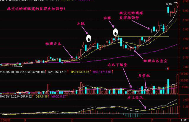 金蛤蟆形态能涨三倍图片