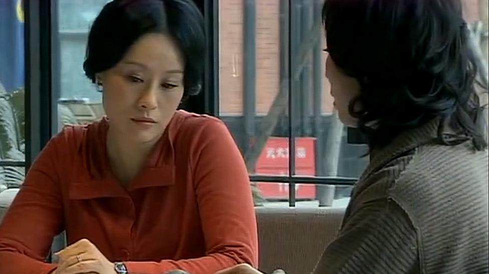 女人被迫蜗居的悲剧,不在海萍身上,却应在宋太太身上