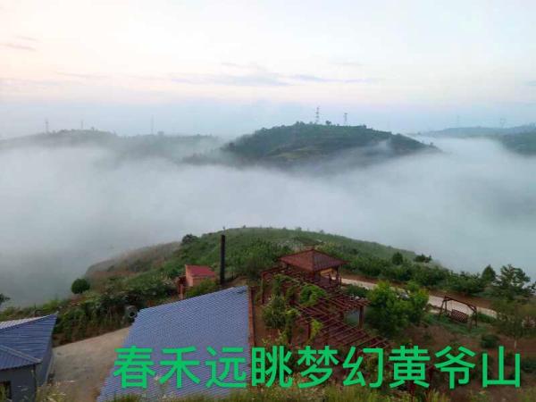 古交市镇城底镇中山岭村:满园溢果香  "春禾"迎秋实