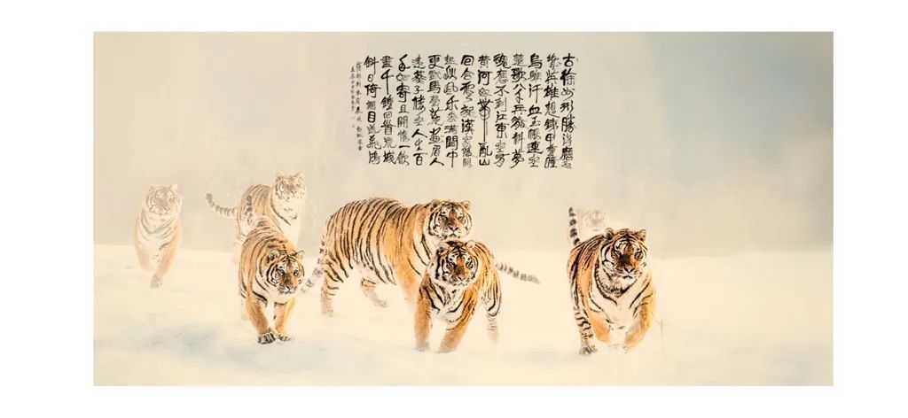 国际旅游摄影网摄影师风采->徐生彬