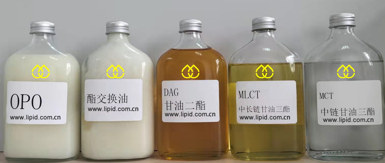 新型健康油脂 甘油二酯