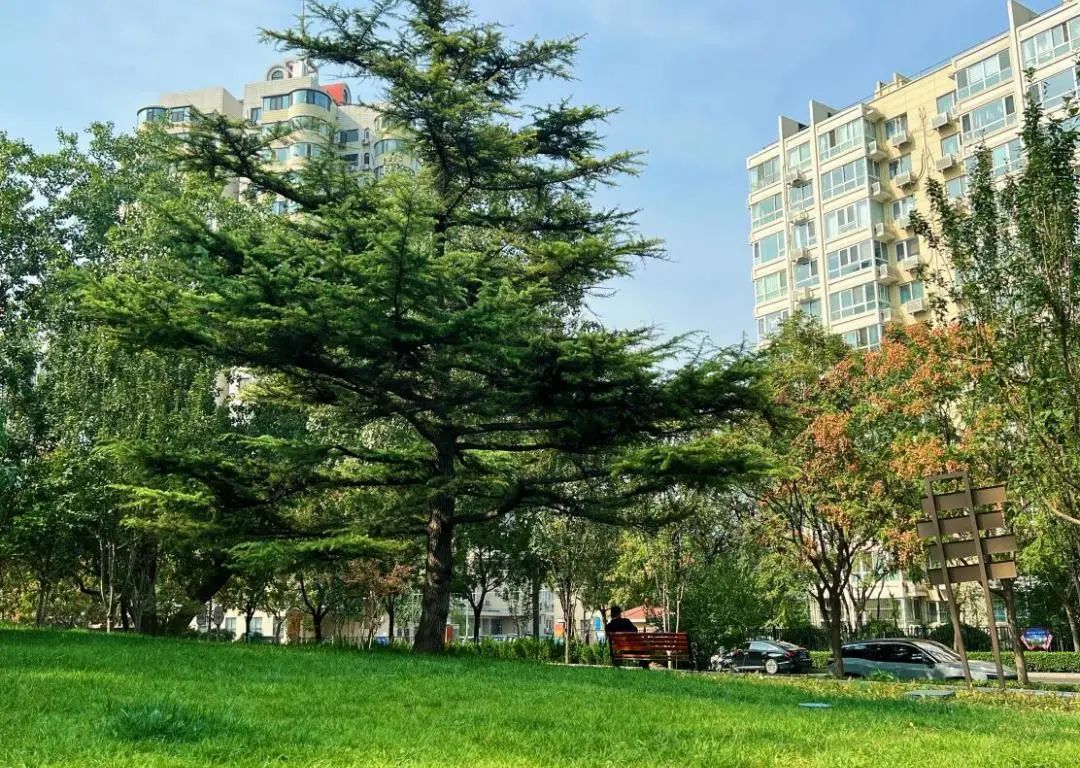 珠海市石景山公园图片