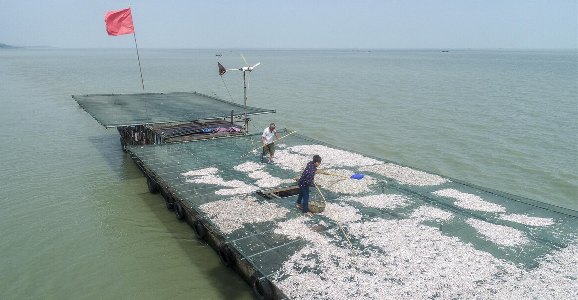 小浪底調沙20年,水庫